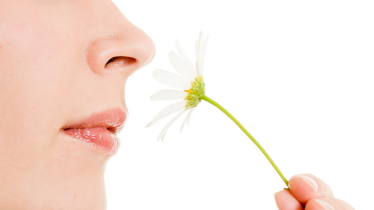 Why Should You Try Out Different Scents
