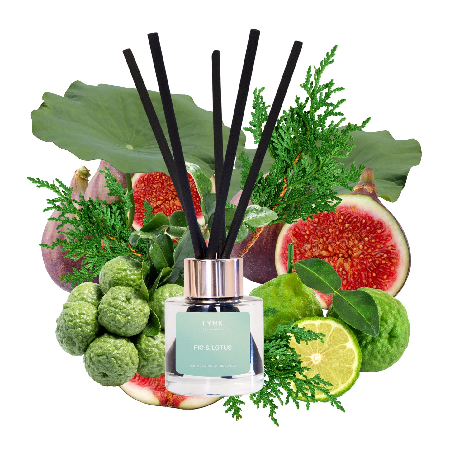 Fig & Lotus Reed Diffuser