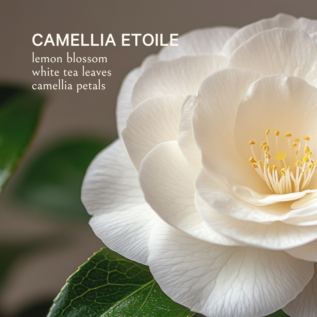 Custom Extrait Perfume (10ML)