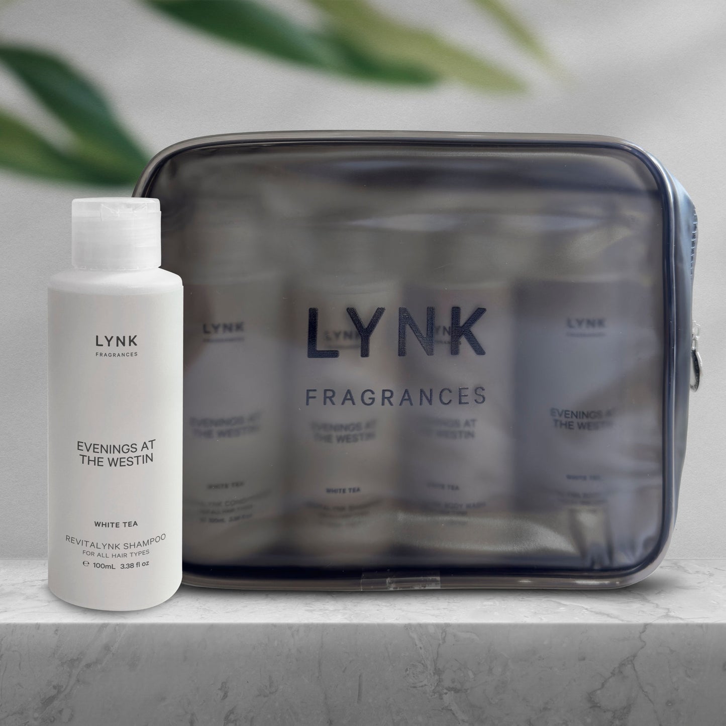 4-in-1 Revitalynk Travel Set