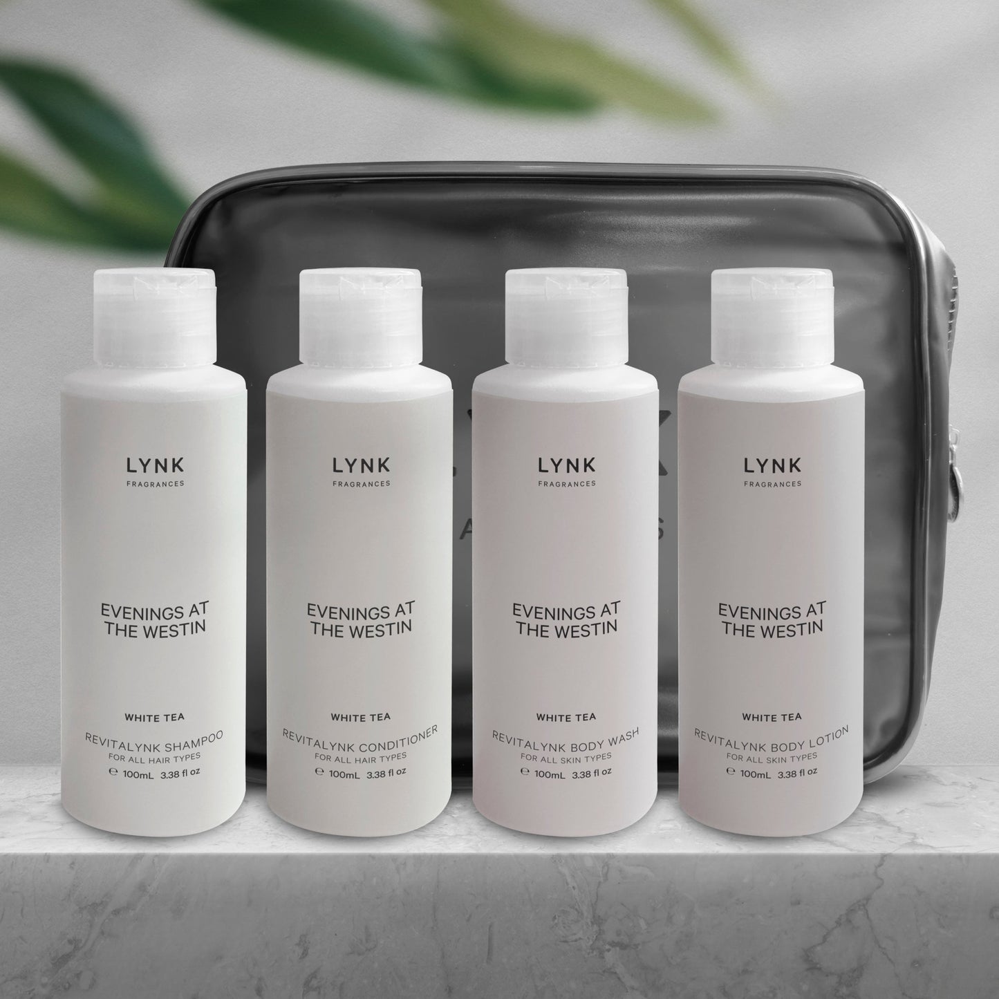 4-in-1 Revitalynk Travel Set