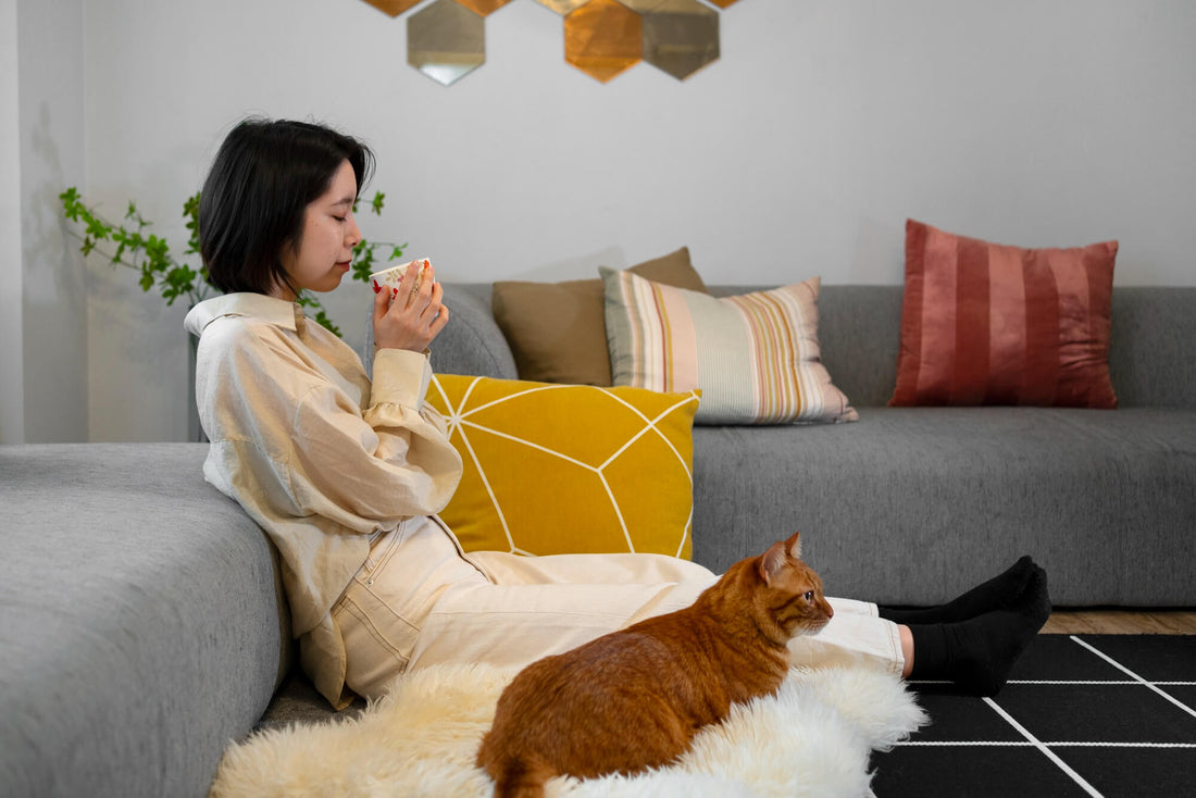Scented Products and Pets: Are They a Safe Combination?