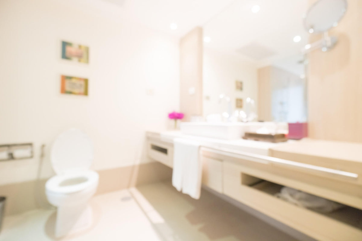 toilet