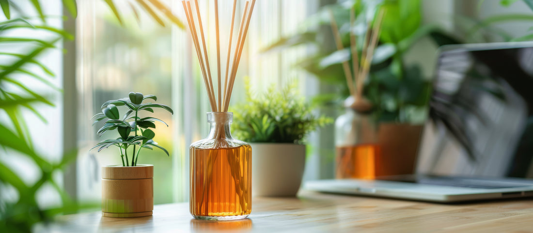 Top 4 Scents from Diffuser Reeds to Boost Focus at Home