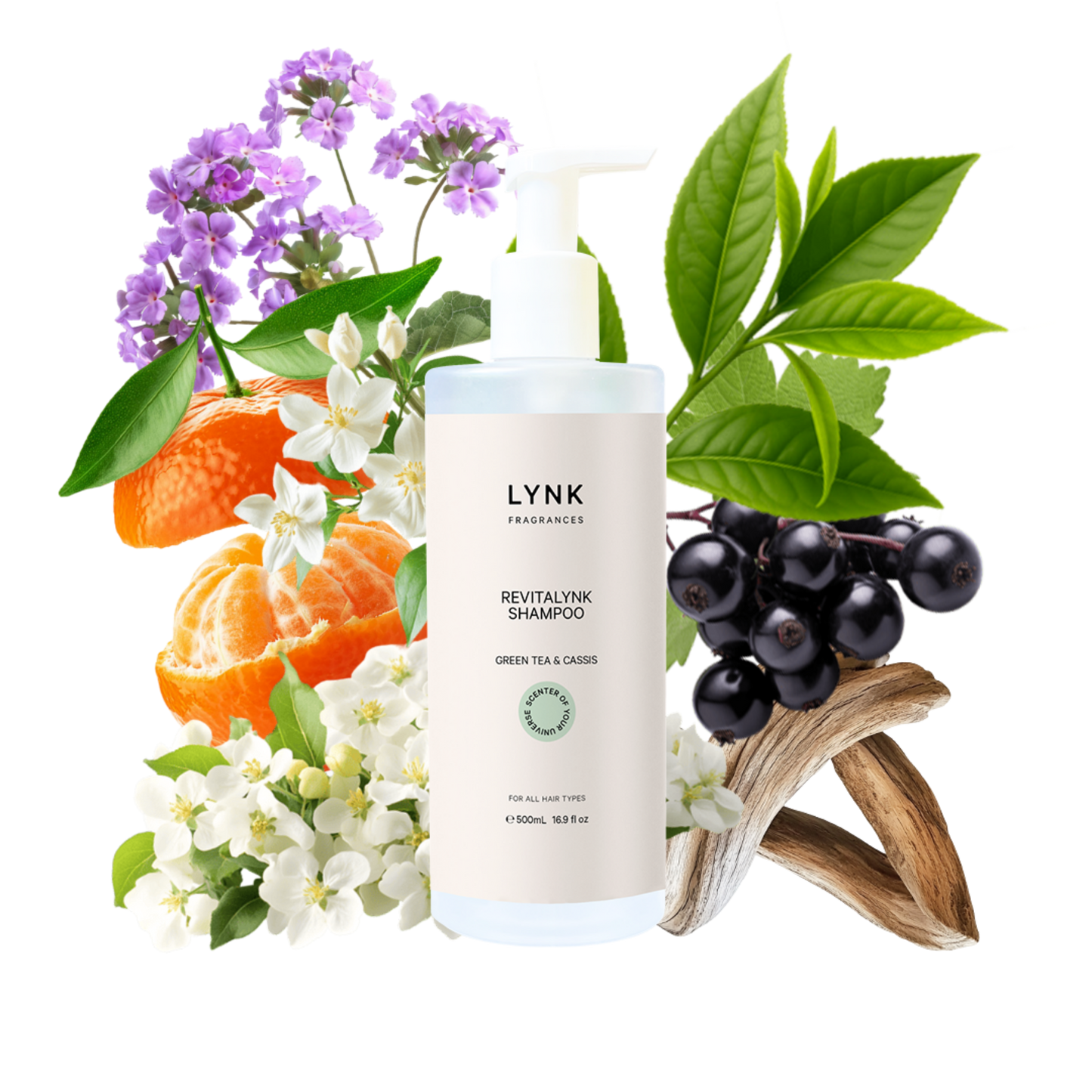 Green Tea & Cassis Shampoo