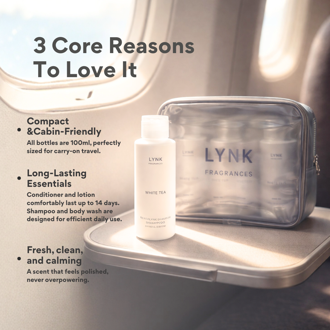 4-in-1 Revitalynk Travel Set