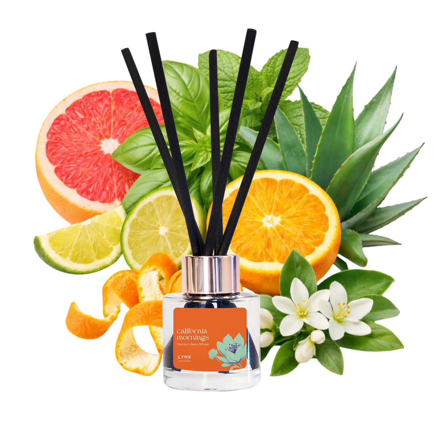 California Mornings (Mandarin + Garden Mint) Reed Diffuser