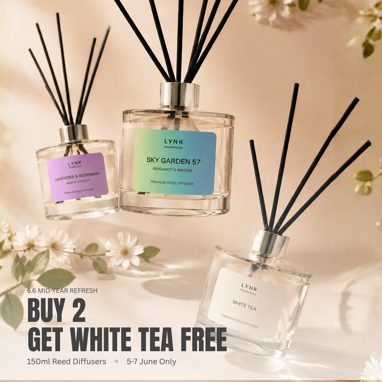 [6.6 BUY 2 GET 1 FREE] 150ML Reed Diffusers