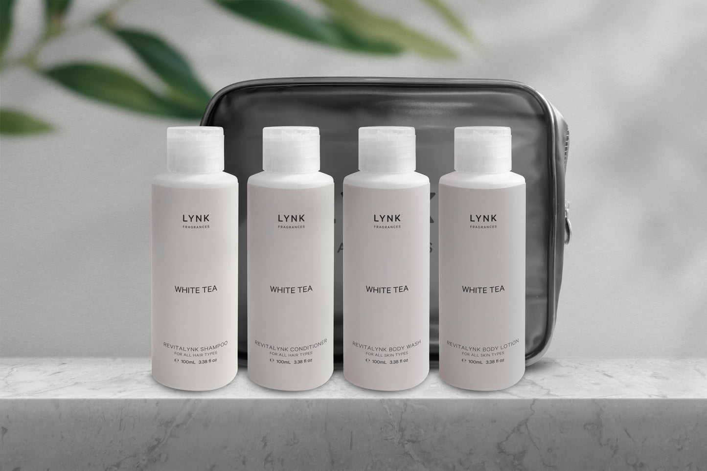 4-in-1 Revitalynk Travel Set