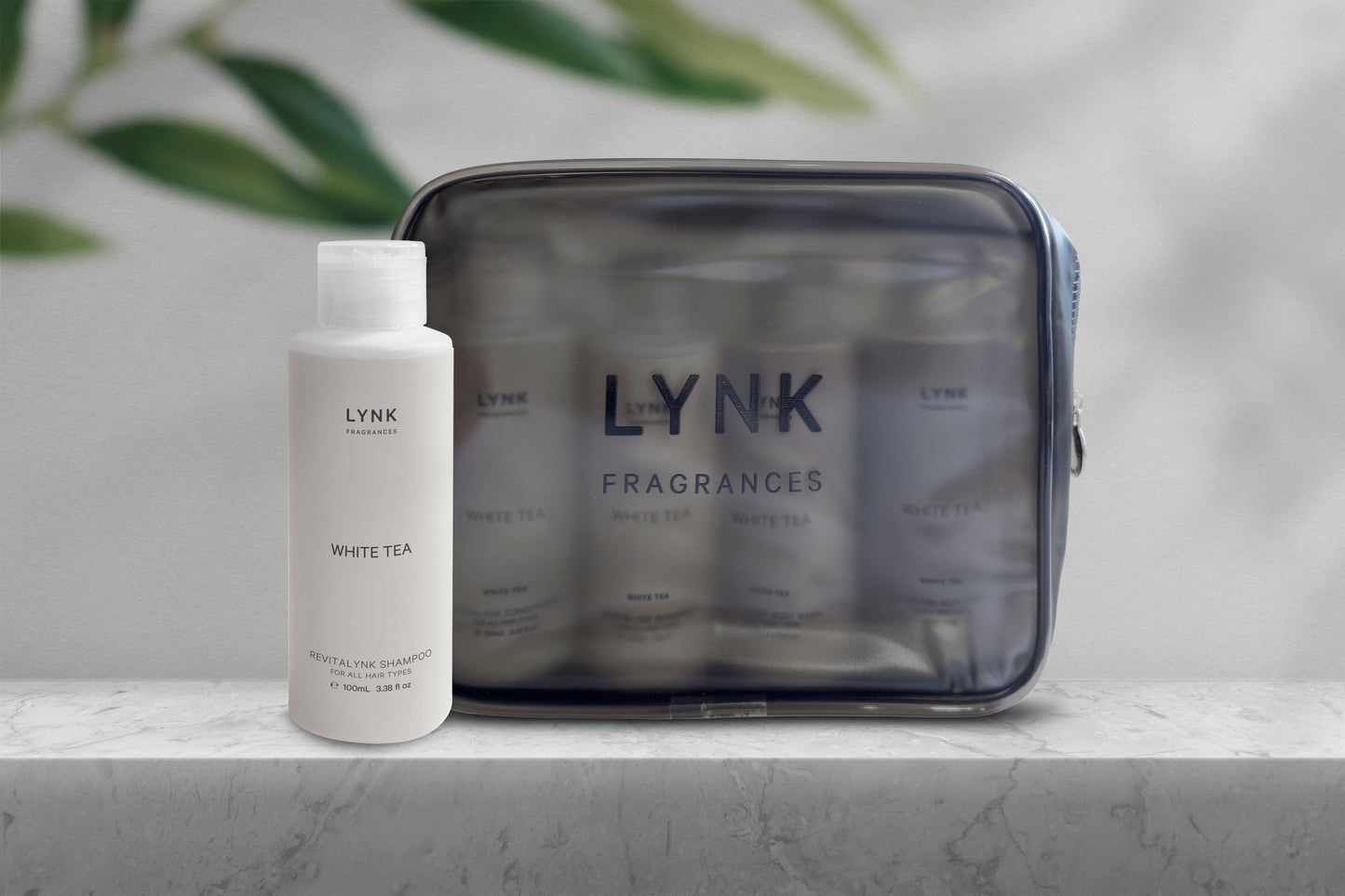 4-in-1 Revitalynk Travel Set