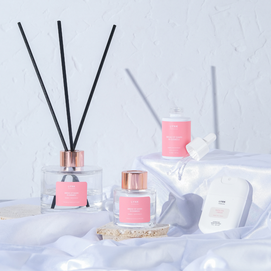 Reed Diffusers | Lynk Fragrances